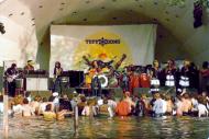 The Wailers The Wailers