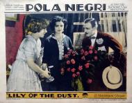 Lily of the Dust