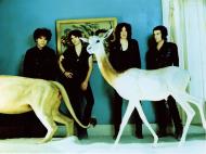 Living Things Living Things