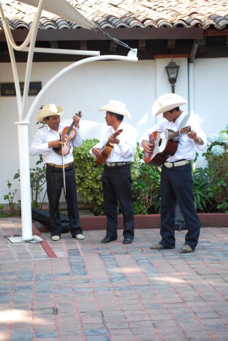 Son Huasteco Gruppo musicale &amp; Musicista Lista 